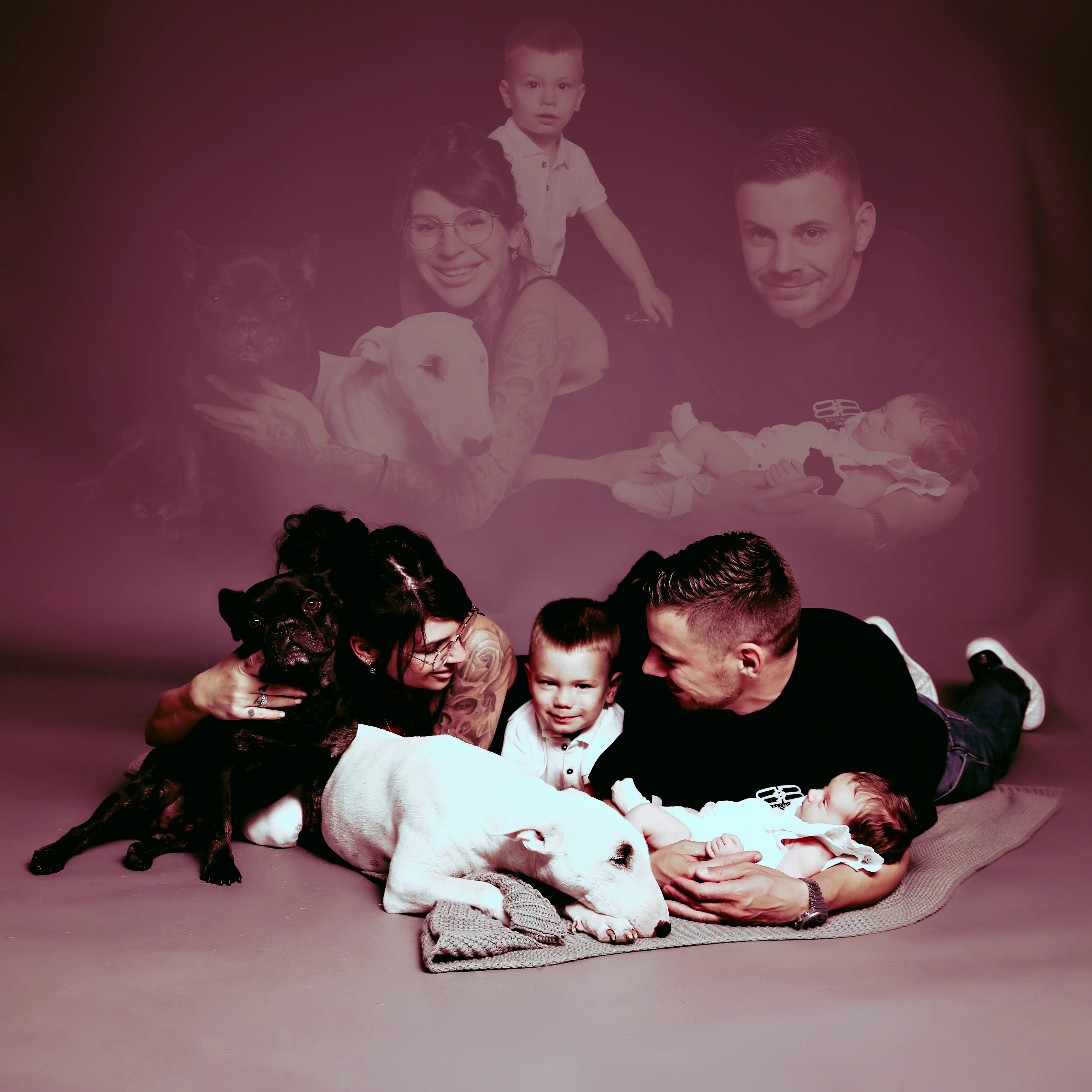 Familie mit Neugeborenem und Hunden im Studio