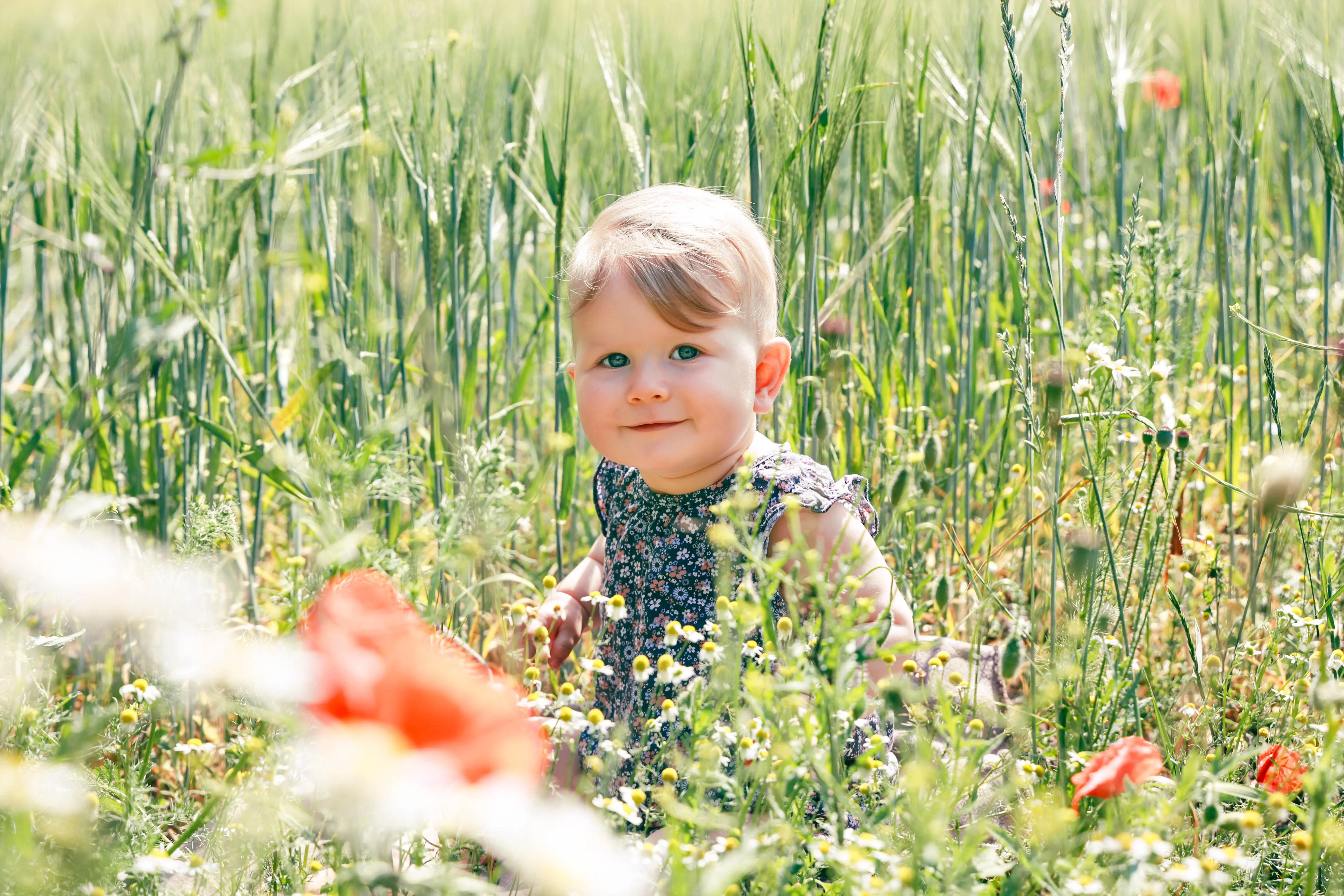 Kleinkind in einer Blumenwiese
